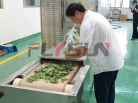 Sécheur à tunnel micro-ondes personnalisé pour les feuilles, machine de séchage par convoyeur, machine de stérilisation, machine de séchage par micro-ondes pour les feuilles