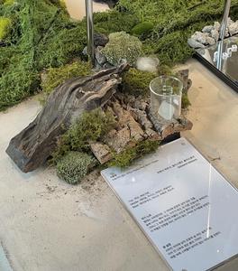 Spray de parfum multi-usage écologique et pratique, étiquette privée OEM ODM, parfum 5%-15% d'ingrédients actifs, soie - Product Image 4