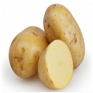 Patates douces bio fraîches de la dernière récolte, haute qualité, prix usine, en vrac/sac en filet/carton, patates fraîches - Product Image 2