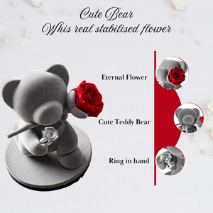 ELVROGEST SA Caja de Regalo con Oso de Peluche y Rosa Roja Preservada, Anillo de Joyería, Regalo Romántico de Lujo para San Valentín para Mujeres, Novias, Esposas - Product Image 3
