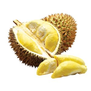Proveedor de durian fresco de Vietnam |   Venta al por Mayor de Calidad Premium - Product Image 5