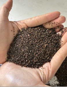 Pimienta de Calidad de Exportación [Keith Vilaconic] – Ideal para Molienda e Industria, Suministro al por Mayor - Product Image 1