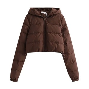 Chaqueta Acolchada con Capucha Marrón, Cierre de Cremallera, Corta, Informal, de Invierno, Resistente al Viento, Relleno de Poliéster, Corte Ajustado, Unisex - Product Image 1