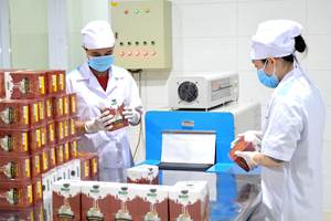 [MUESTRA GRATUITA] CAFÉ 3 EN 1 DE MARCA PROPIA Y CAFÉ CON LECHE VIETNAMITA (CAFE SUA DA) EN SACHETES INDIVIDUALES OEM, PERSONALIZABLE CON SU MARCA - Product Image 6