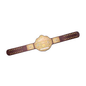 Ceinture de championnat du monde de lutte poids lourd entièrement plaquée or - Product Image 4