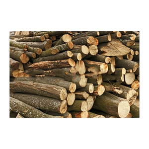 Bois de frêne de qualité supérieure pour commandes en gros, stock de haute qualité, expédition rapide - Product Image 1