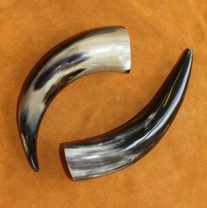 Par de Cuernos de Búfalo Pulidos para Decoración de Pared, Diseño Art Deco, Grandes de 10 a 18 Pulgadas, para Bodas, Cumpleaños, Aniversarios - Product Image 1