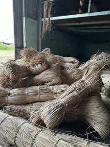 SÉLÉCTION EXCLUSIVE : Paravents d'extérieur en rotin BLUE LOTUS FARM – Solutions de rangement durables et écologiques au design industriel – Garantie 10 ans - Product Image 6