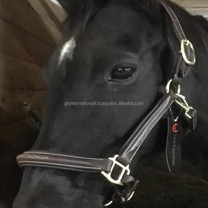 Halter de cheval en cuir de qualité supérieure noir et marron havane robuste avec rembourrage et coutures fantaisie raccords de variante en nickel ou en laiton - Product Image 3