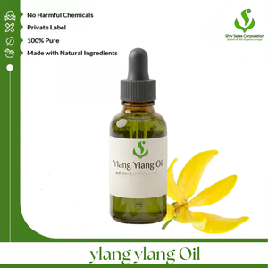 Proveedor de Aceite de Ylang Ylang de Primera Calidad que Sirve a Compradores B2B Globales con Aceite Esencial a Granel para Cosméticos, Fragancias y Cuidado Personal - Product Image 1