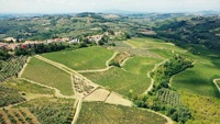 Vin italien rouge toscan IGT Le More Nere bouteille de 0.750 litres boisson alcoolisée GVERDI Selection Made Italy Red Wine