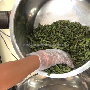 Polvo de Hoja de Curry Puro, Hojas de Curry Verdes Secas Naturales, Patil Foods India - Product Image 4