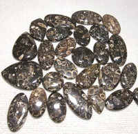 Cabochon d'agate Turritella poli à la main de haute qualité pierre précieuse naturelle en vrac pour la fabrication de bijoux ARHAN GEMS inde 5-10g