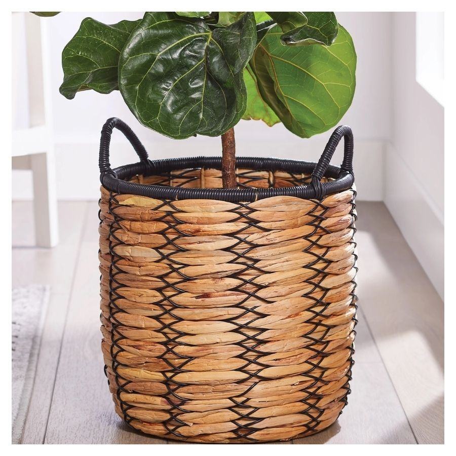 ธรรมชาติ