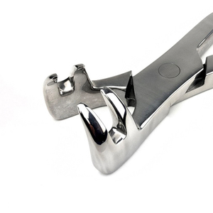 Pinzas de Extracción de Dientes Molares Equinos de Cuatro Raíces, Acero Inoxidable, Instrumentos Dentales Equinos de Primera Calidad, Marca Regal - Product Image 6