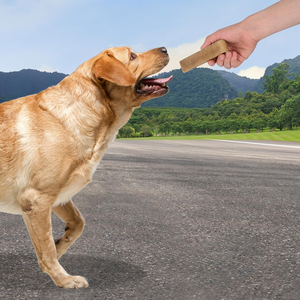 Friandises pour chiens Petology Yak Churpi Cheese Chews, biologiques, sans céréales, entièrement naturelles, riches en protéines, longue durée, pour chatons, chiens seniors et animaux de compagnie - Product Image 3