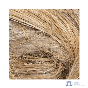 [AVAILABLE] | Unbleached Banana Pineapple Fiber Thread Material for <b>Wig</b> Making Textile Weaving Crafts from <b>Blue</b> Lotus Farm - Product Image 1