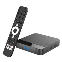 Nuevo TX20PRO Export TV Box, Android, Receptor de TV con WiFi de Doble Banda, IPTV