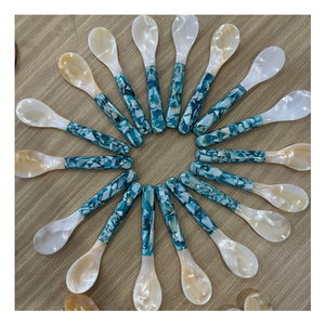 Cuillère artisanale en coquillage à finition naturelle pour décoration sur le thème côtier et approvisionnement commercial - Product Image 1