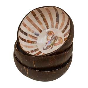 Bol en noix de coco en nacre d'éléphant de Thaïlande pour boutique de souvenirs, vente en gros directe d'usine, personnalisable, prix compétitif - Product Image 2