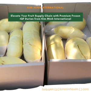 Pulpa de Durian Congelada IQF Premium de Vietnam, Empaque a Granel para Exportación - Product Image 5