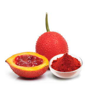 Fábrica en Vietnam suministra polvo de gac de primera calidad a precio competitivo, extracto de fruta al por mayor - Product Image 6