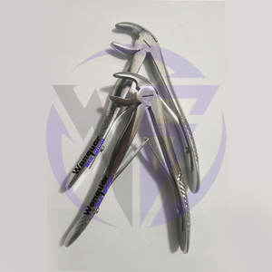 Pinzas de Extracción Quirúrgicas Dentales Pediátricas de Alta Calidad # Instrumento Profesional de Acero Inoxidable para Molares Inferiores Primarios Tipo C - Product Image 2