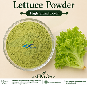 Suministro Directo de Fábrica HGO de Polvo de Lechuga Natural (Grado Alimenticio), Polvo Vegetal Secado por Aspersión o Liofilizado - Product Image 1