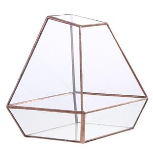 Mini Terrario de Cristal para Suculentas, Musgo y Plantas Aéreas, Recipiente Transparente Artístico y Ecológico, Moderno - Product Image 3