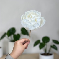VADEE WOOD FLOWER Kerajinan Tangan Bunga Kayu Sola Krim Vintage Berkelanjutan Ukuran 8.5 CM Model Batang Serat Tanaman Sesbania