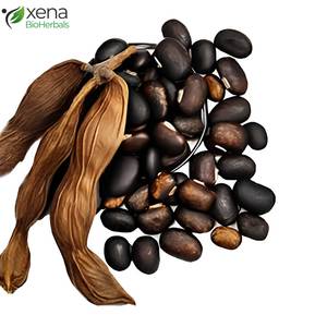 Suministro de Fábrica: Semilla de Mucuna Orgánica, Materia Prima Herbal para Productos Nutracéuticos, Venta al Por Mayor OEM - Product Image 2