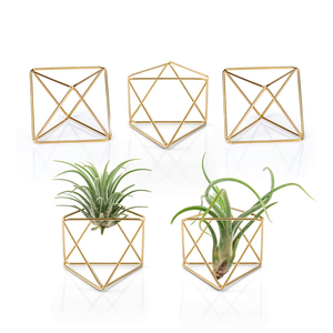 Soporte Colgante de Metal Hecho a Mano para Plantas Aéreas, Decoración Boho para Hogar y Jardín, Venta al Por Mayor - Product Image 1