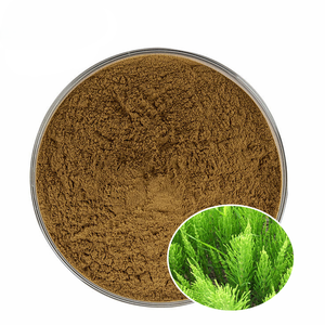 Polvo de Extracto de Cola de Caballo Natural Puro OEM para el Cuidado del Cabello y la Piel, Polvo de Equisetum Arvense de Primera Calidad para Formulaciones Herbales - Product Image 6