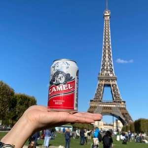 Cerveza Lager Camel de la Mejor Calidad, 330 ml x 24 Latas en Venta, la Mejor Cerveza Disponible al por Mayor, Cerveza Vietnamita, Bebidas Alcohólicas - Product Image 4