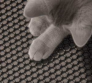 Tapis de litière pour chat en mousse EVA multicolore, écologique, imperméable et inodore, fabrication OEM/ODM de qualité supérieure au Vietnam, vente en gros - Product Image 1