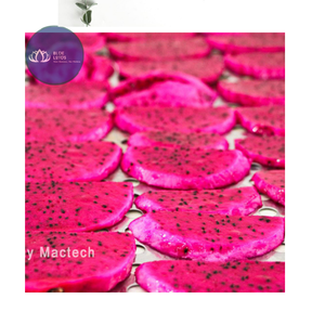 Fruits du dragon séchés naturels de qualité supérieure – Tranches de pitaya rouge séchées écologiques en gros - Product Image 1