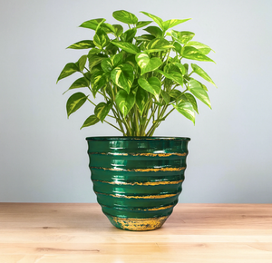 Black and gold metal planter, desktop plant stand, <b>small</b> indoor succulent <b>table</b> planter, available at wholesale prices. - Product Image 5