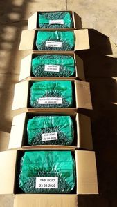 HANCOFFEE 2026 NUEVA Cosecha Granos de Café Robusta Crudos/Verdes - Precio Mayorista Más Barato - Empaquetados en Bolsas de 60 kg/PP/Yute - Product Image 4