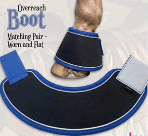 Premium Ergonomic Non-Twist Design Neoprene Padded Blue Piping Silver Cord Overreach <b>Boot</b> Quick Secure Velcro - Product Image 1