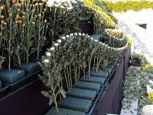 Plateau pour pots de fleurs en PP de qualité supérieure, léger, design vintage, compatible avec la mousse de protection pour la maison et le jardin, pour fleurs fraîches - Product Image 4