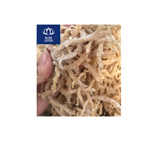 Algues Marines Séchées Écologiques de Haute Qualité, Sûres et Propres, Idéales pour les Soins de la Peau et les Boissons – Vente Directe Usine - Product Image 1