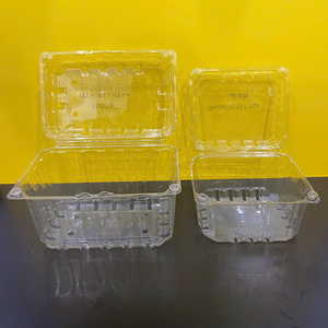 Échantillons gratuits Boîte rectangulaire jetable en PET pour emporter Emballage pour salade de fruits Emballage en plastique transparent Contenant pour fruits frais avec couvercle - Product Image 6