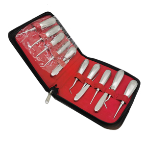 Juego de Instrumentos Dentales Profesionales de Acero Inoxidable Golden Industries, Kit de Herramientas Quirúrgicas para Extracción de Raíces Dentales - Product Image 2