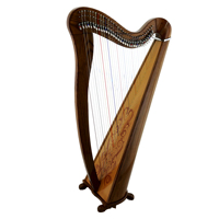 Best Quality Handmade Engraved Harp 30 Strings Black Curved Design RoseWood Materials Customized Color Custom Brand Model
