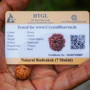 สร้อยคอรูดราคชาทำมือ เม็ดบีดสีน้ำตาลธรรมชาติคุณภาพพรีเมียม แพ็คใหญ่ สำหรับการทำสมาธิ โยคะ พุจ หรือสวมใส่เพื่อการศักดิ์สิทธิ์  Sigma Exports - Product Image 3