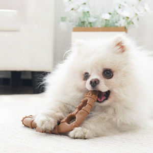 Juguete de Hueso para Masticar Educativo para Perros, Duradero, Ecológico, No Tóxico, Resistente a Mordidas, Hueso Molar para la Salud Dental - Product Image 2