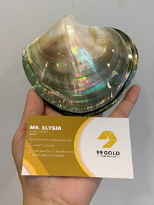 เปลือกหอยสีสันสดใส ทำความสะอาดแล้ว ของตกแต่งจากเปลือกหอยธรรมชาติ โรงงานเวียดนาม ขายส่งจำนวนมาก อุปกรณ์งานฝีมือ - Product Image 4