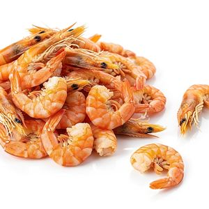 Camarones Secos Costeros Premium a Granel para Exportación con 95% de Frescura Natural para Importadores Globales de Mariscos - Product Image 3