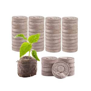Blocs de fibres de coco les plus vendus - Substrat de culture durable pour semis de jardins d'Eco2go Vietnam - Product Image 6