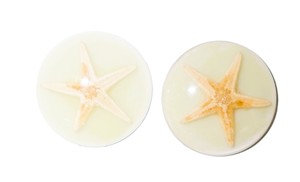 Starfish Real Specimen Plastic Cabochon Round 38x38 mm Glow Flat Bottom for Crafts and Jewelry Making - Product Image 3